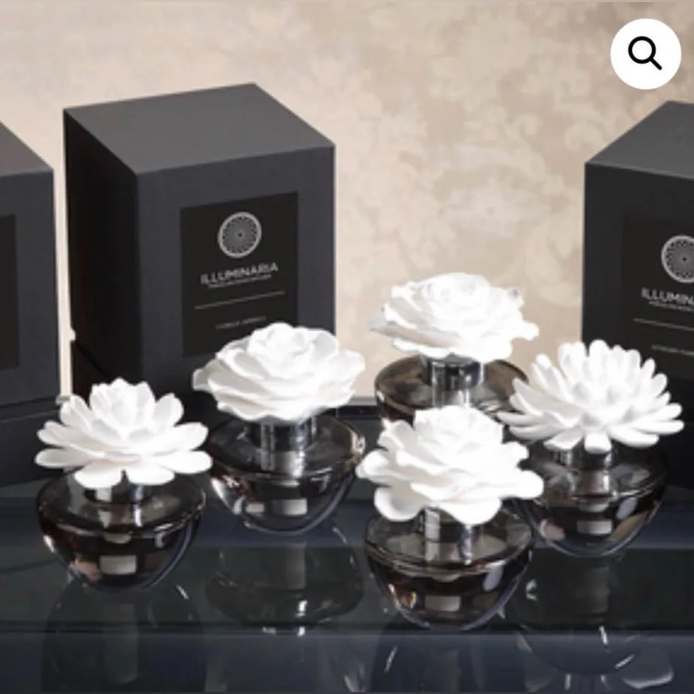 Zodax Illuminaria Porcelain Diffuser - Tahitian Gardenia Fragrance